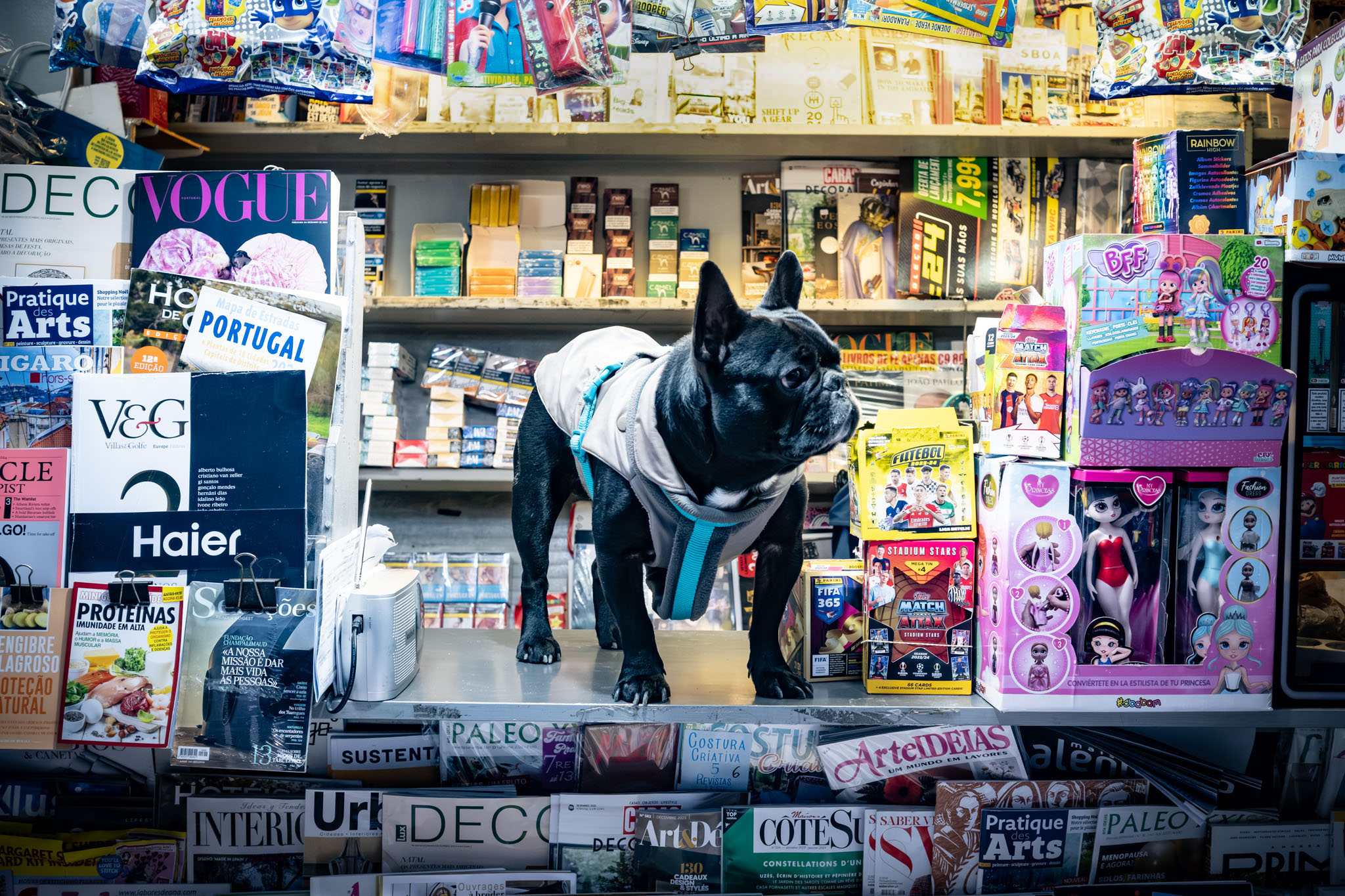 lisboa</br>f4 &spades; 28mm &diams; 1/140s &clubs; iso 8000 &hearts; &copy; os.