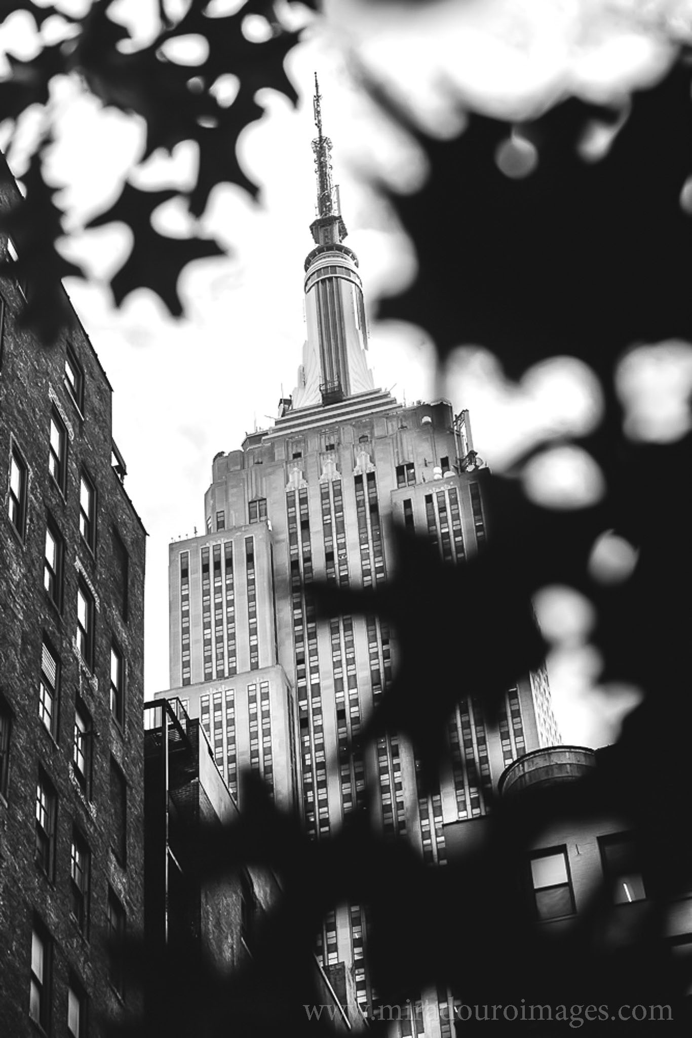 f4.5 &spades; 55mm &diams; 1/320s &clubs; ISO 320 &hearts; &copy; OS.